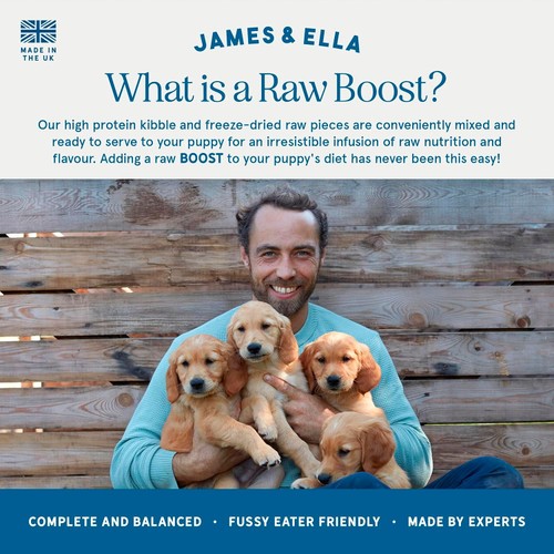 James & Ella Raw+Kibble Puppy Free Range Turkey Dogfood thumbnail 5