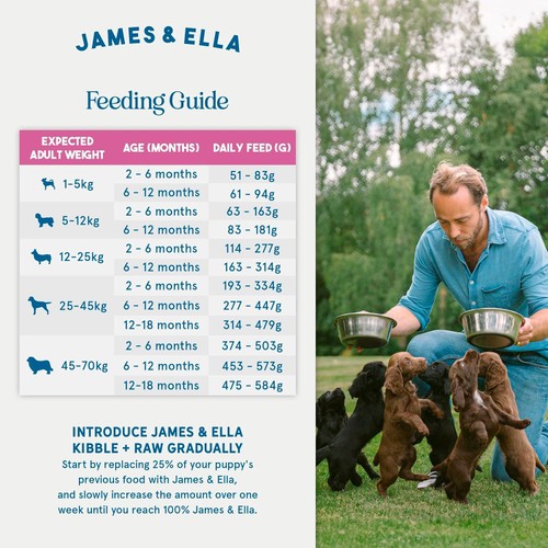 James & Ella Raw+Kibble Puppy Free Range Turkey Dogfood thumbnail 6