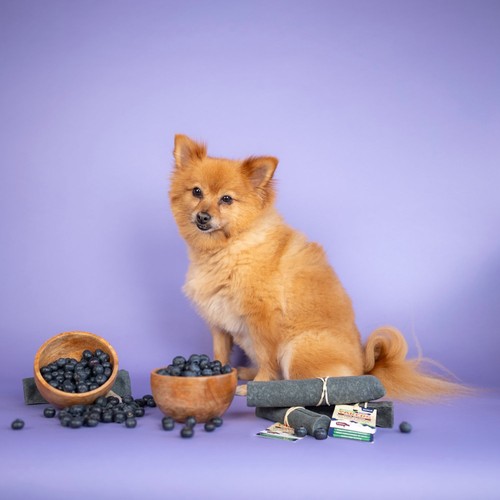 Yakers Blueberry Medium Dog Chew thumbnail 2