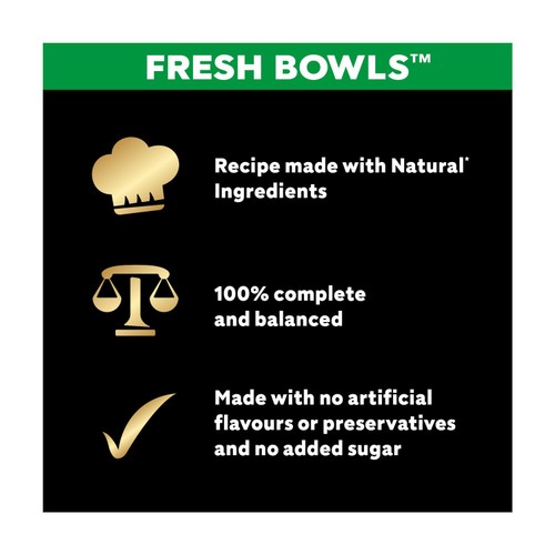 Cesar Fresh Bowl Adult Wet Dog Food Chicken & Poultry in Gravy thumbnail 3