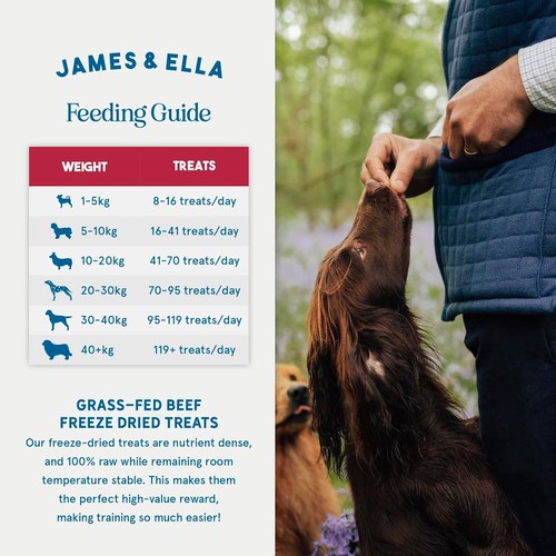 James & Ella Dog Treats - Beef thumbnail 5