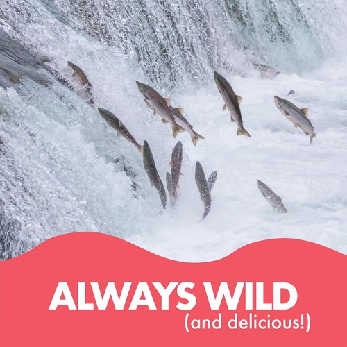 Fish 4 Ever Wild Pacific Pink Salmon thumbnail 7