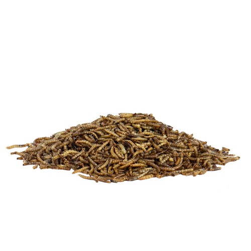 Peckish Mealworms For Wild Birds thumbnail 2
