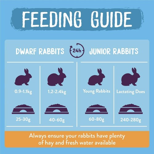 Burgess Excel Junior And Dwarf Rabbit Food thumbnail 6