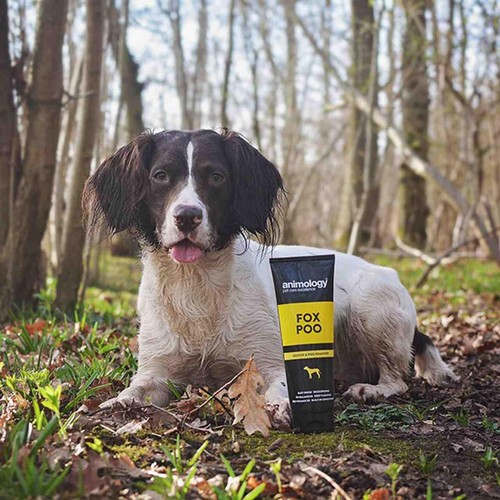 Animology Deodorising Fox Poo Shampoo for Dogs thumbnail 2