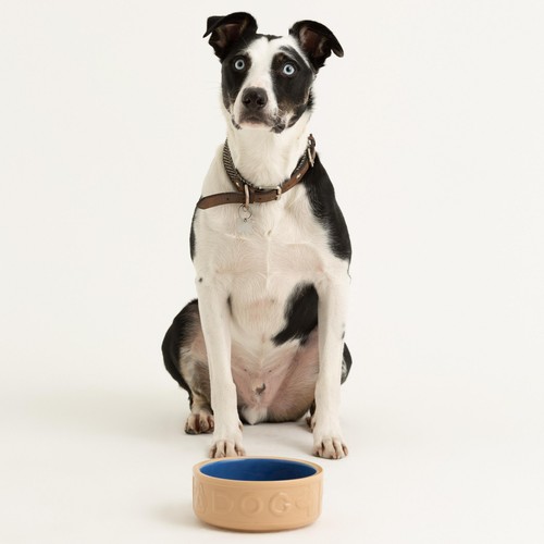 Mason Cash Lettered Cane & Blue Dog Bowl 18cm thumbnail 2