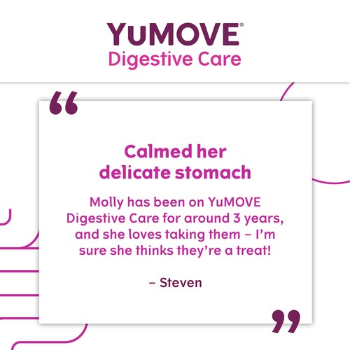 YuMOVE Dog Digestive Health Probiotics Supplement thumbnail 8