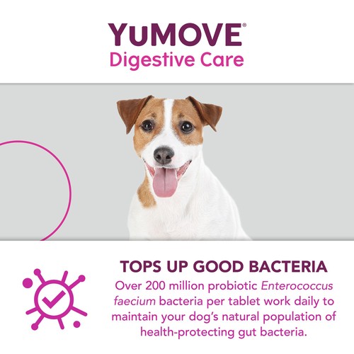 YuMOVE Dog Digestive Health Probiotics Supplement thumbnail 9