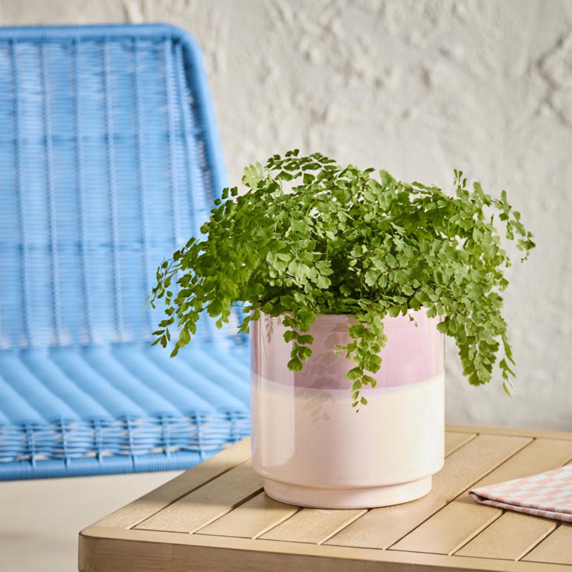 Sainsbury's Home Glazed Planter thumbnail 2
