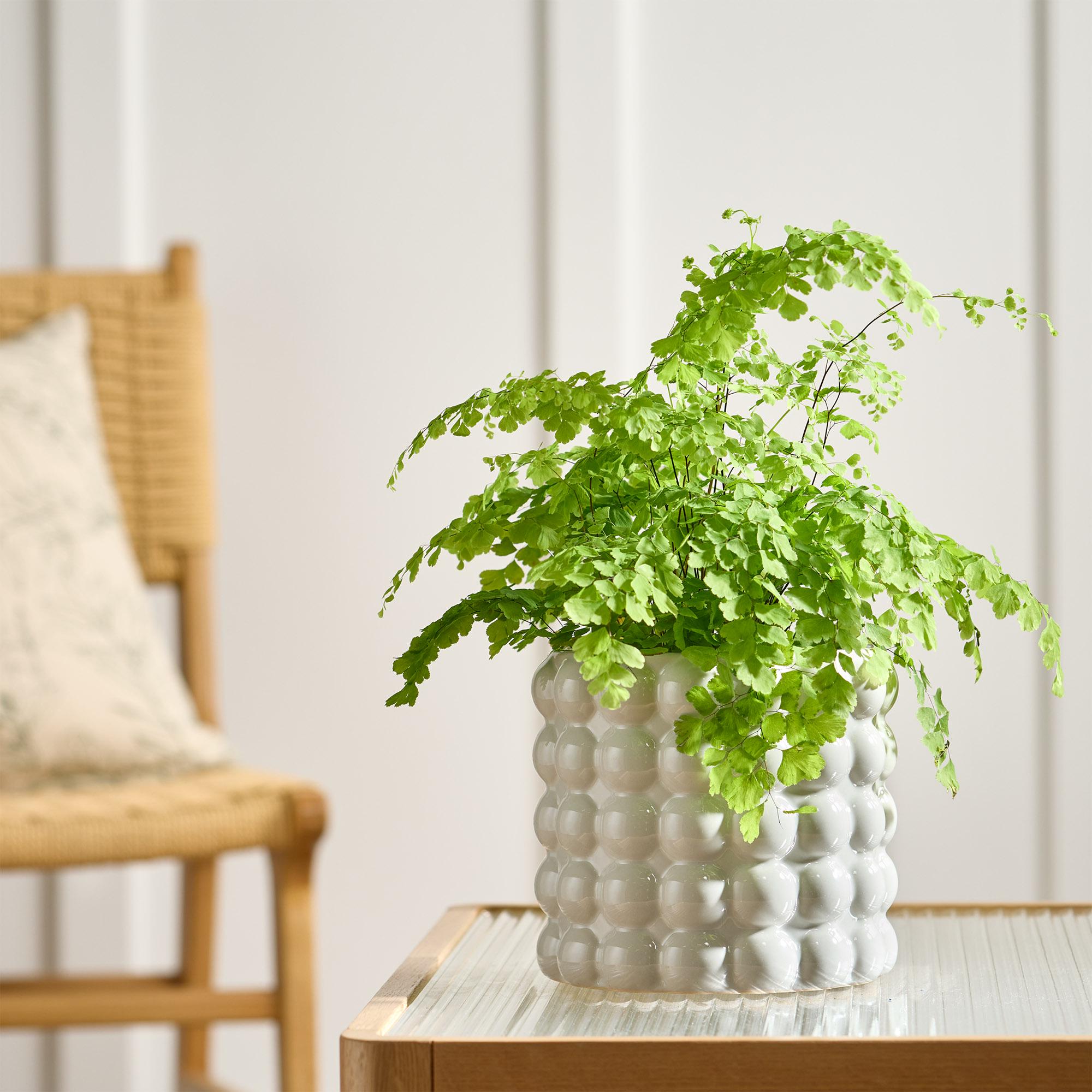 Habitat Stoneware Bobble Large Planter