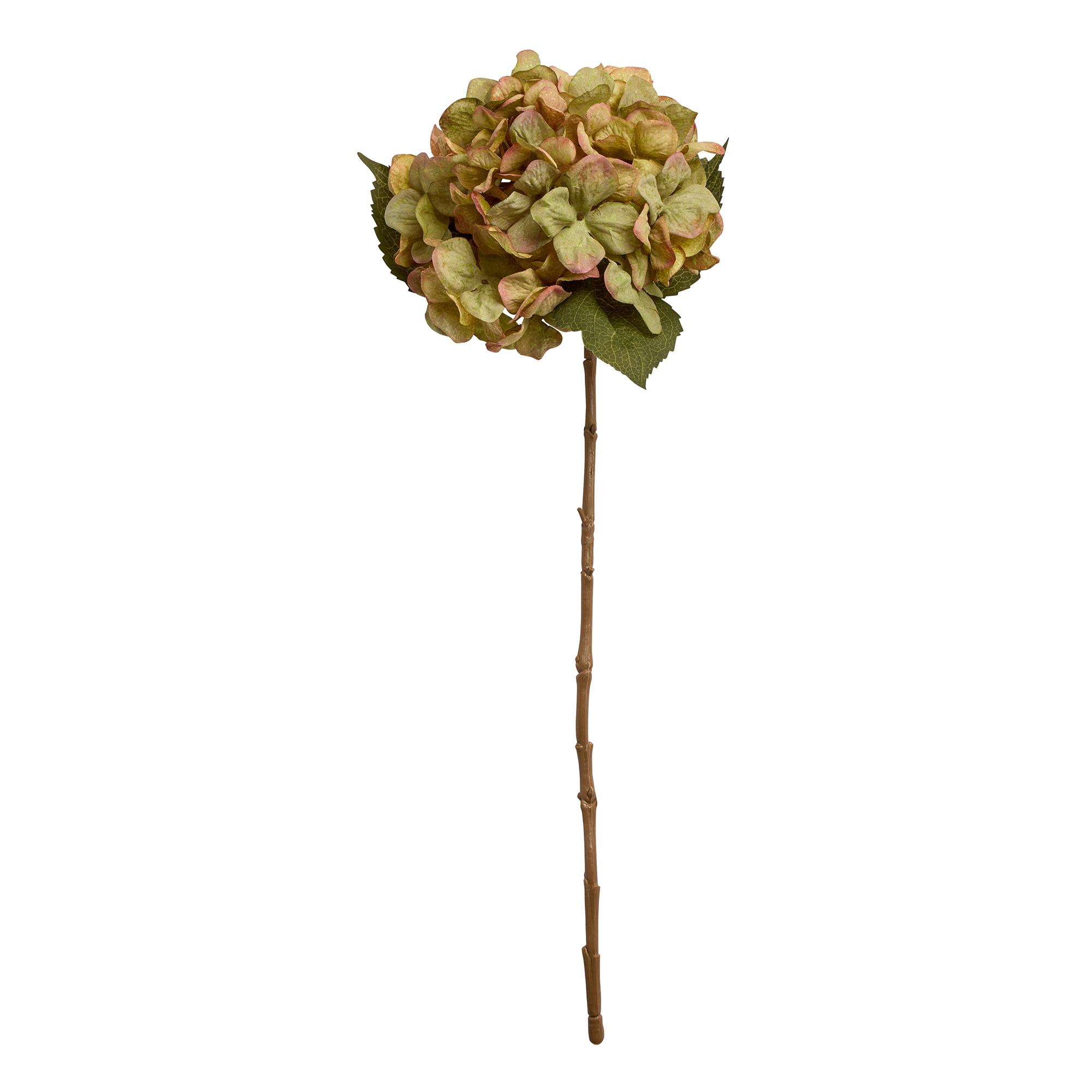 Sainbury's Hydrangea Single Stem - Green