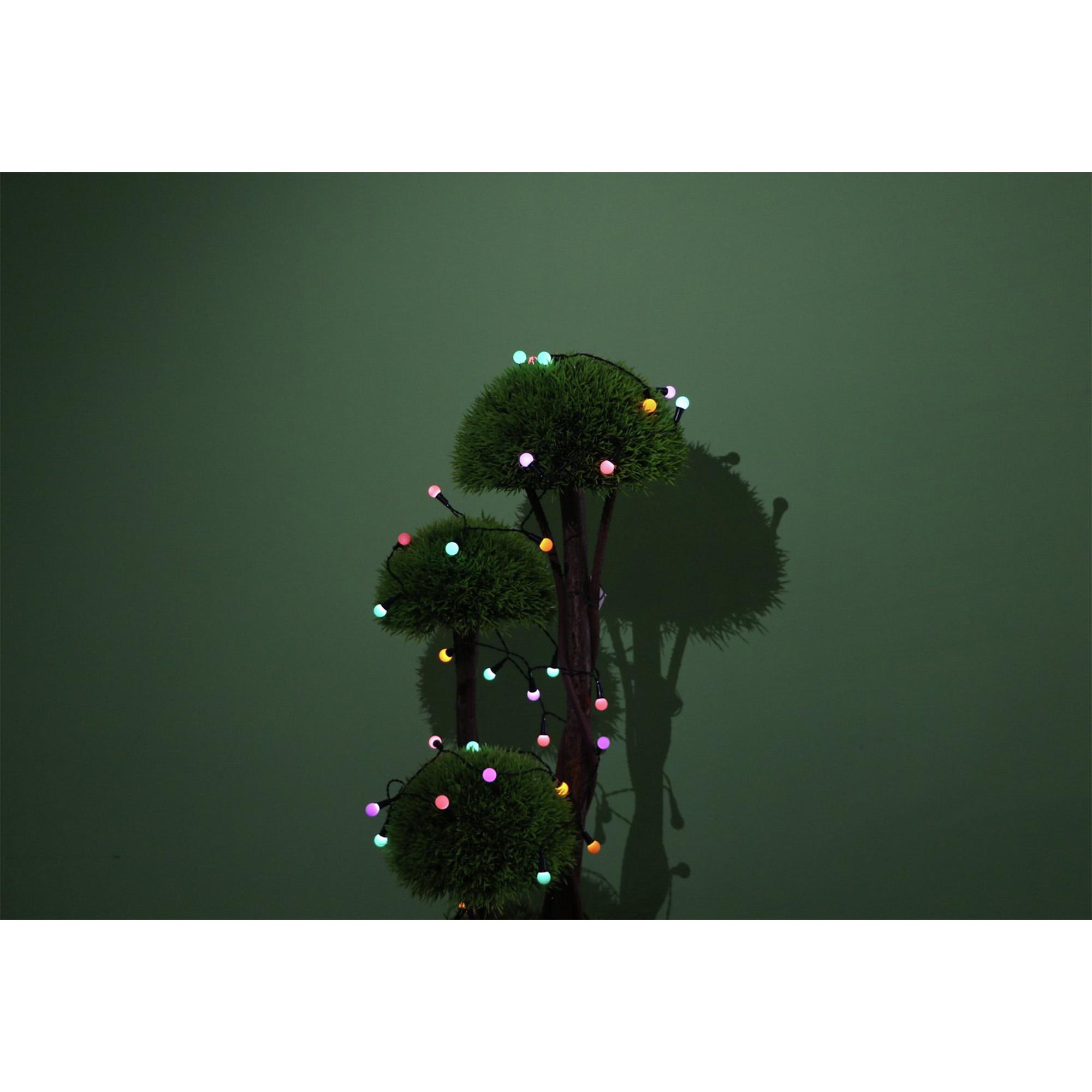 Sainsbury's Home 50 LED Solar String Lights thumbnail 2