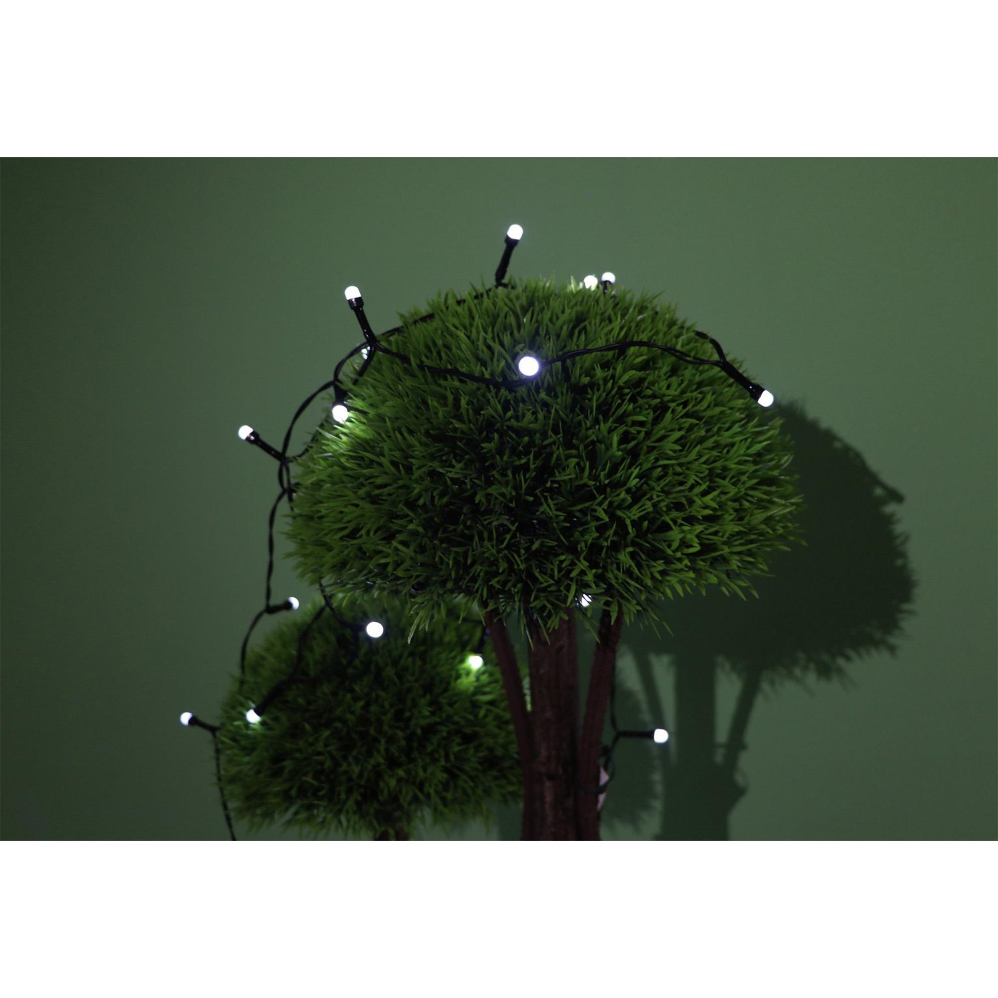 Sainsbury's Home 100 LED Solar String Lights - White thumbnail 3