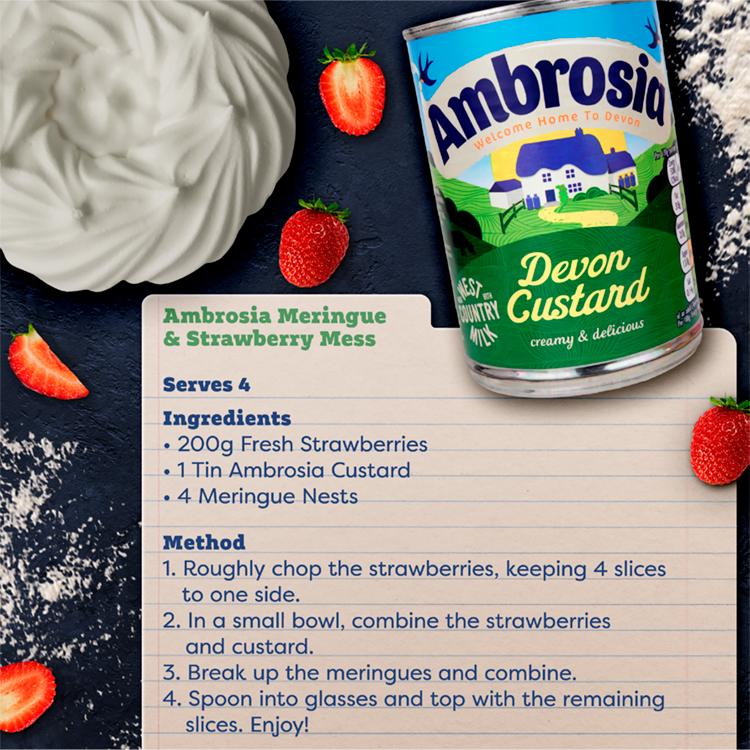 Ambrosia Devon 400g Custard Dessert Can thumbnail 4