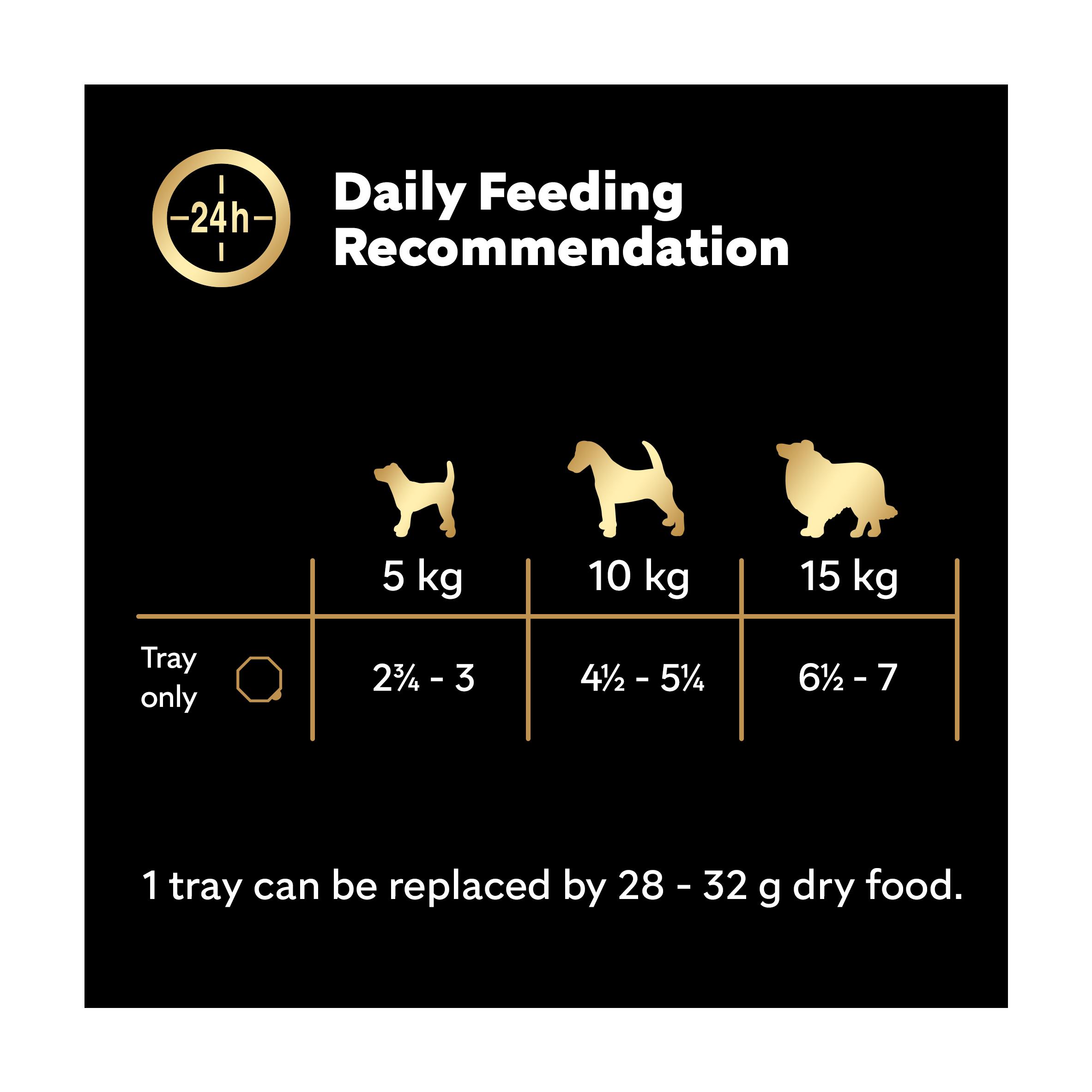 Cesar Classics Terrine Dog Food Tray Lamb & Chicken in Jelly 150g thumbnail 4