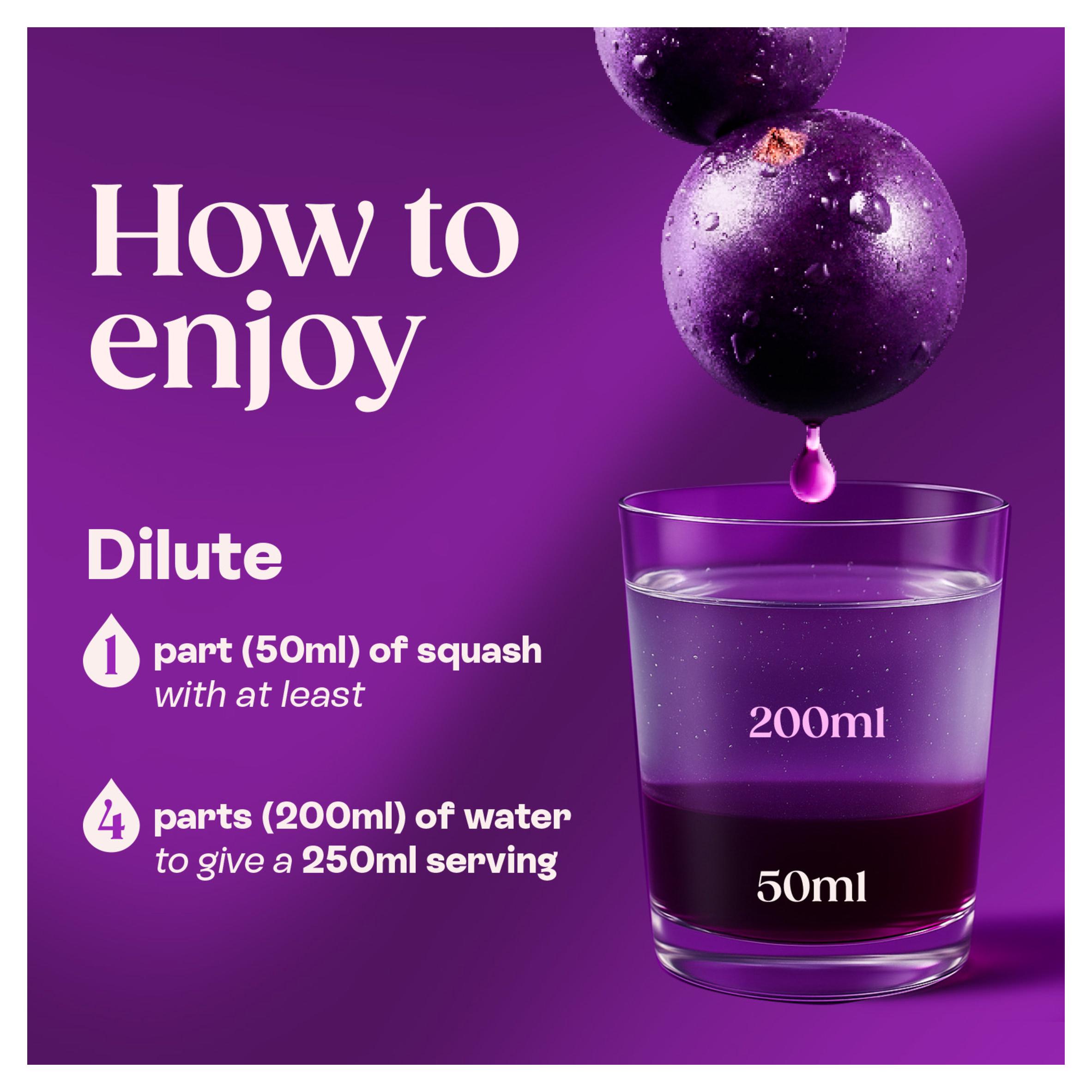 Ribena Blackcurrant Squash No Added Sugar 1.5L thumbnail 5