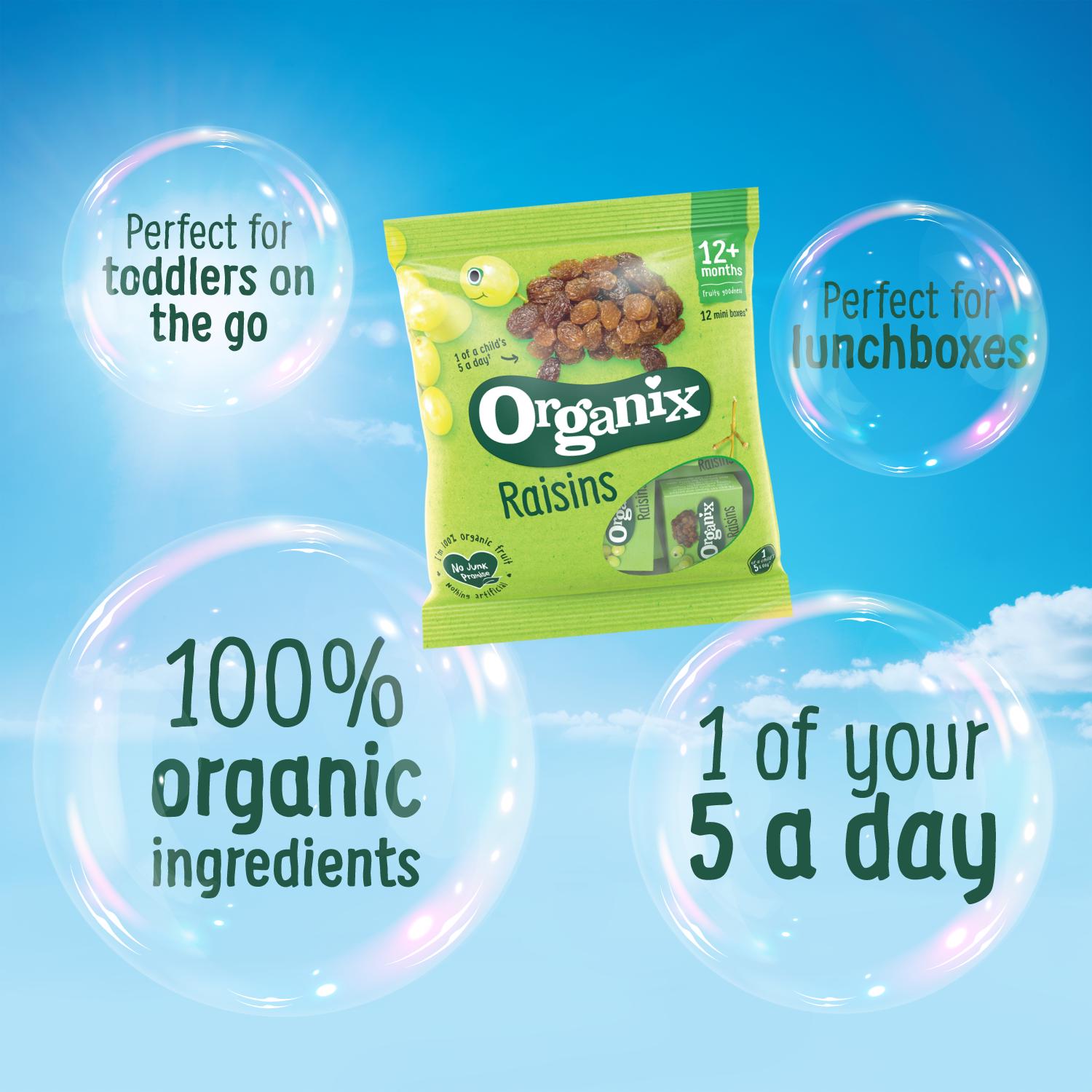 Organix Mini Organic Raisin Snack Boxes Toddler Snacks Multipack 12 months+ 12x14g thumbnail 2