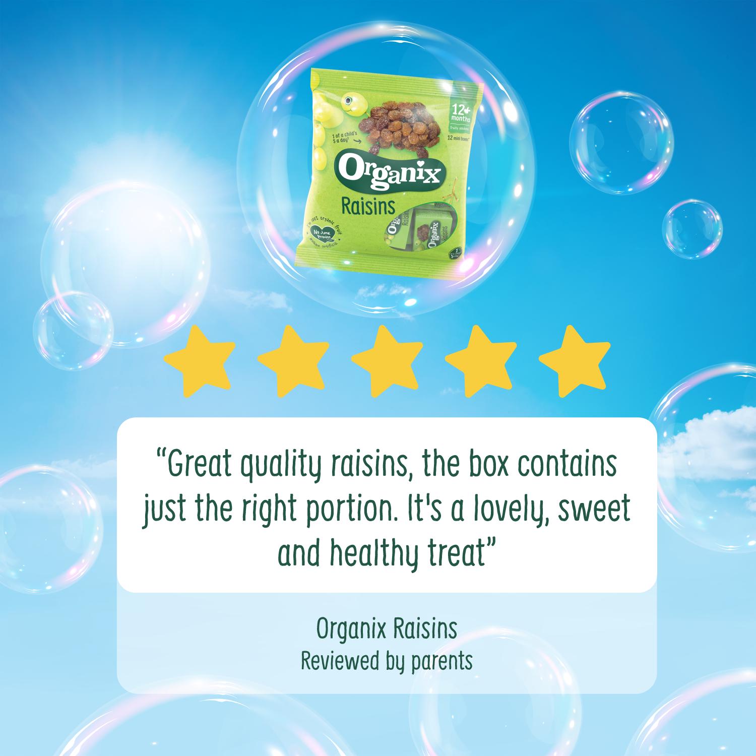 Organix Mini Organic Raisin Snack Boxes Toddler Snacks Multipack 12 months+ 12x14g thumbnail 4