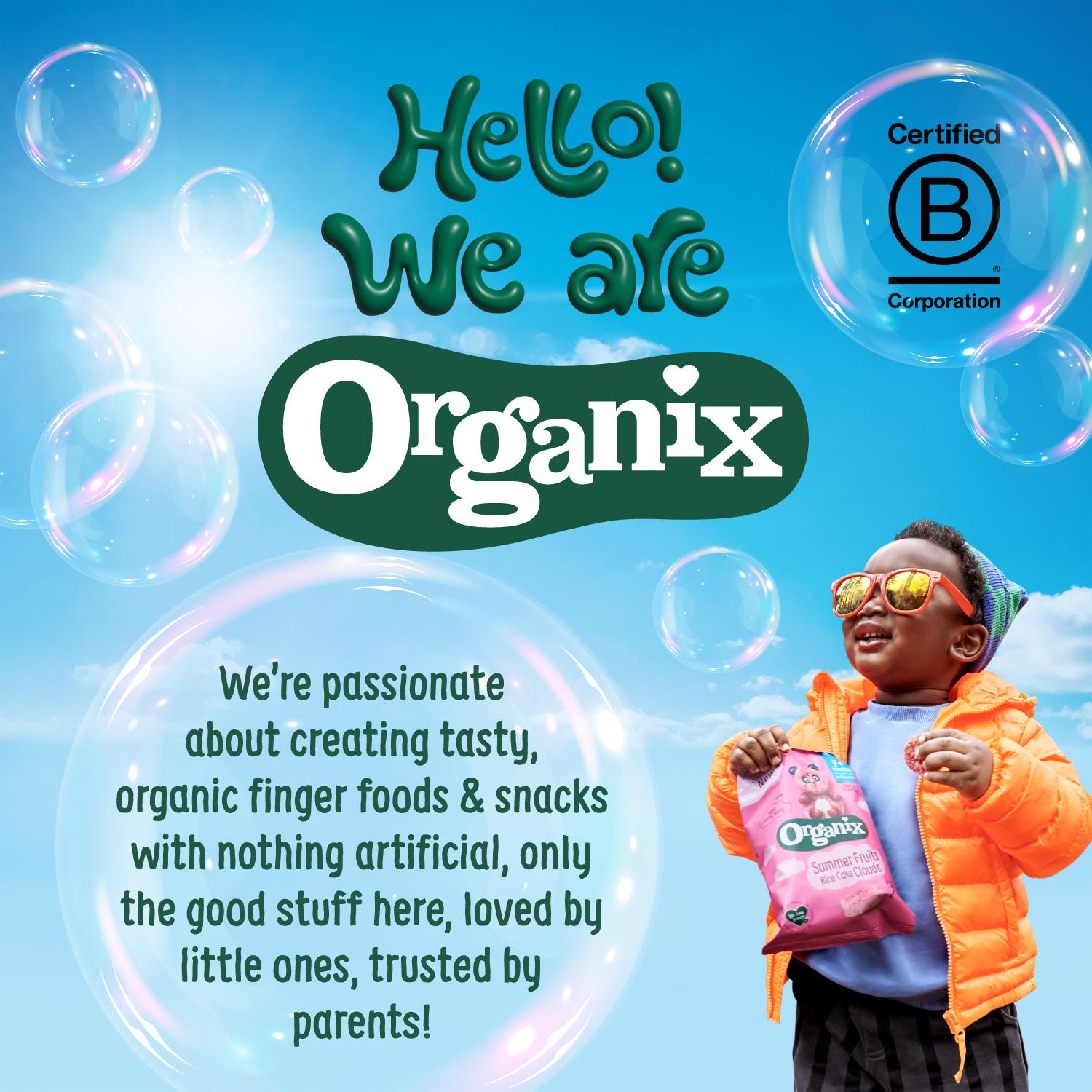 Organix Mini Organic Raisin Snack Boxes Toddler Snacks Multipack 12 months+ 12x14g thumbnail 6