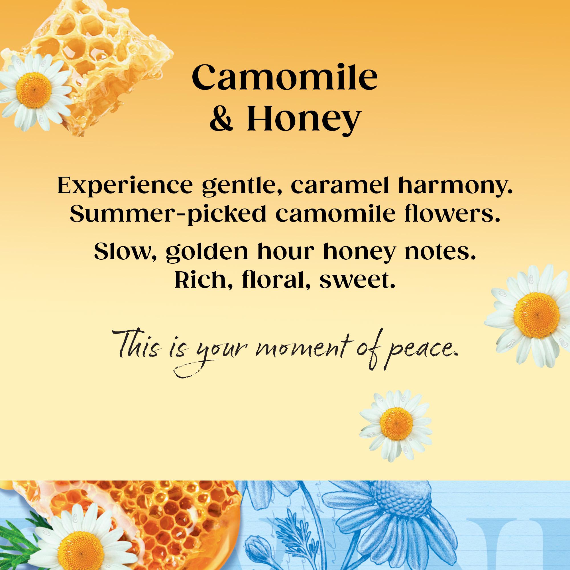 Twinings Camomile & Honey Tea, 20 Tea Bags thumbnail 2