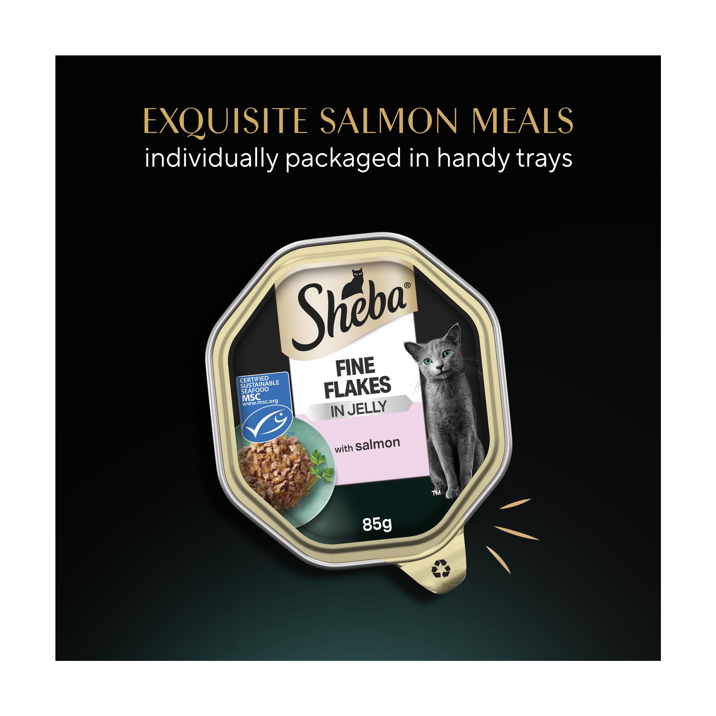 Sheba Fine Flakes Salmon in Jelly Cat Food Tray 85g thumbnail 5
