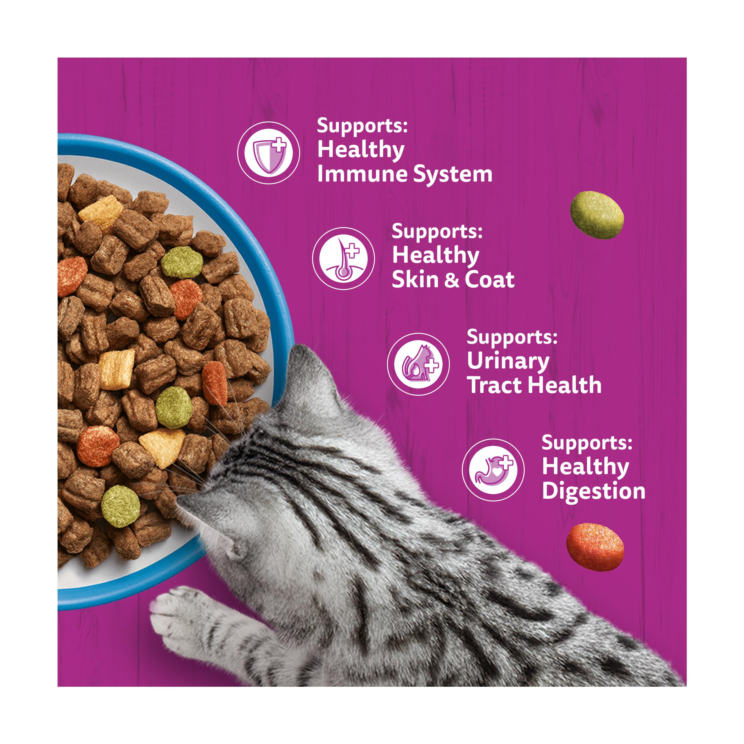 Whiskas 1+ Tuna Complete Adult Dry Cat Food 1.9kg thumbnail 3