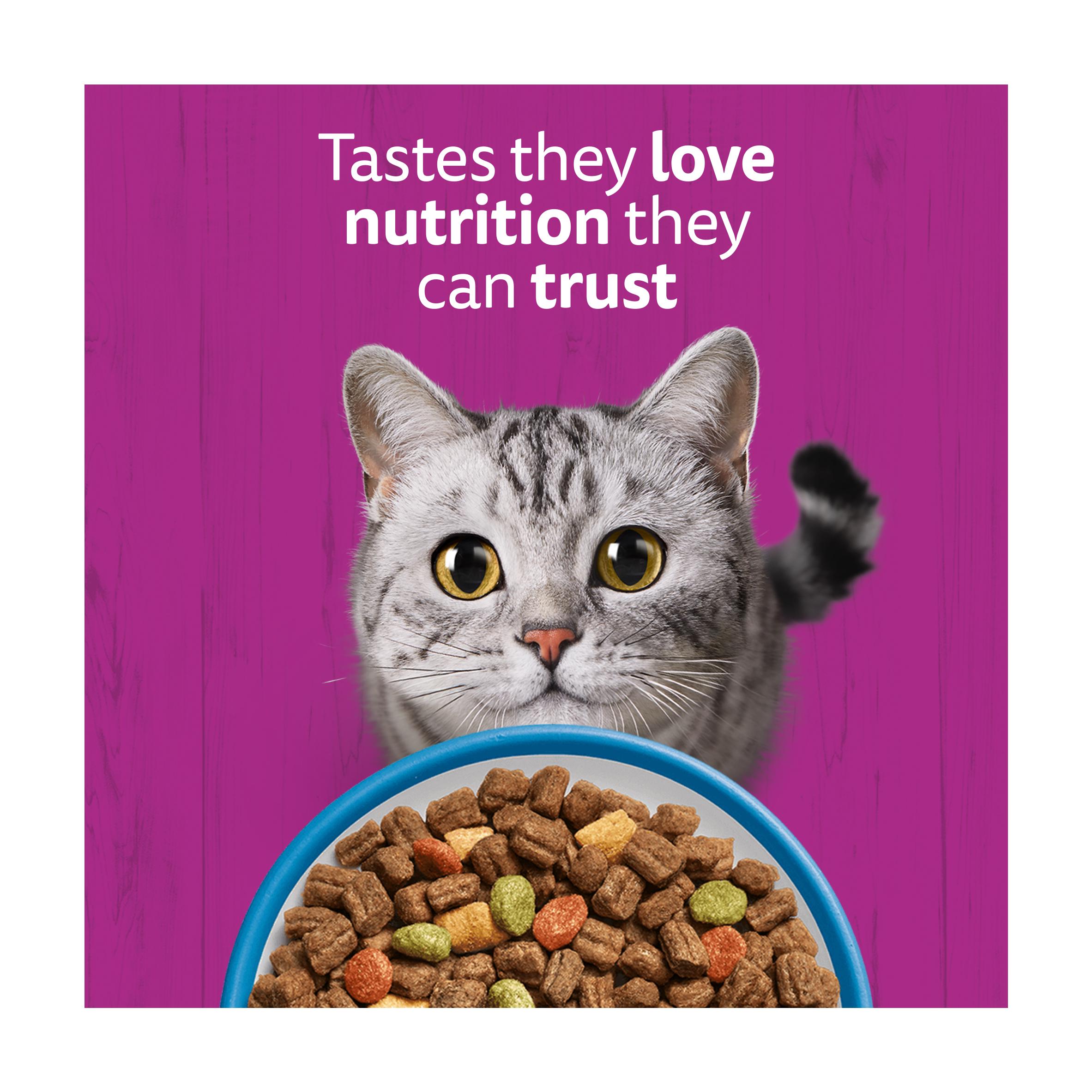 Whiskas 1+ Tuna Complete Adult Dry Cat Food 1.9kg thumbnail 5
