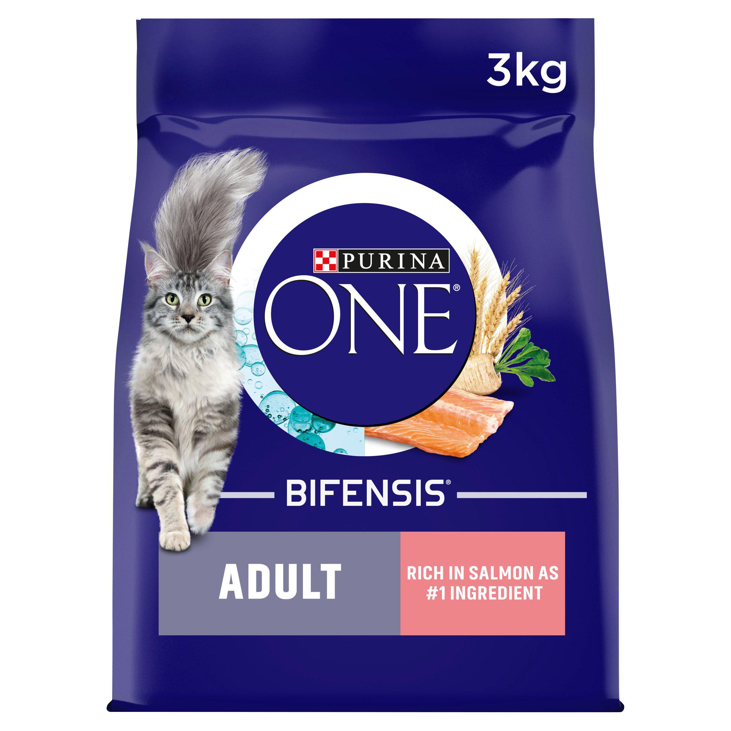 Purina One Salmon Dry Cat Food