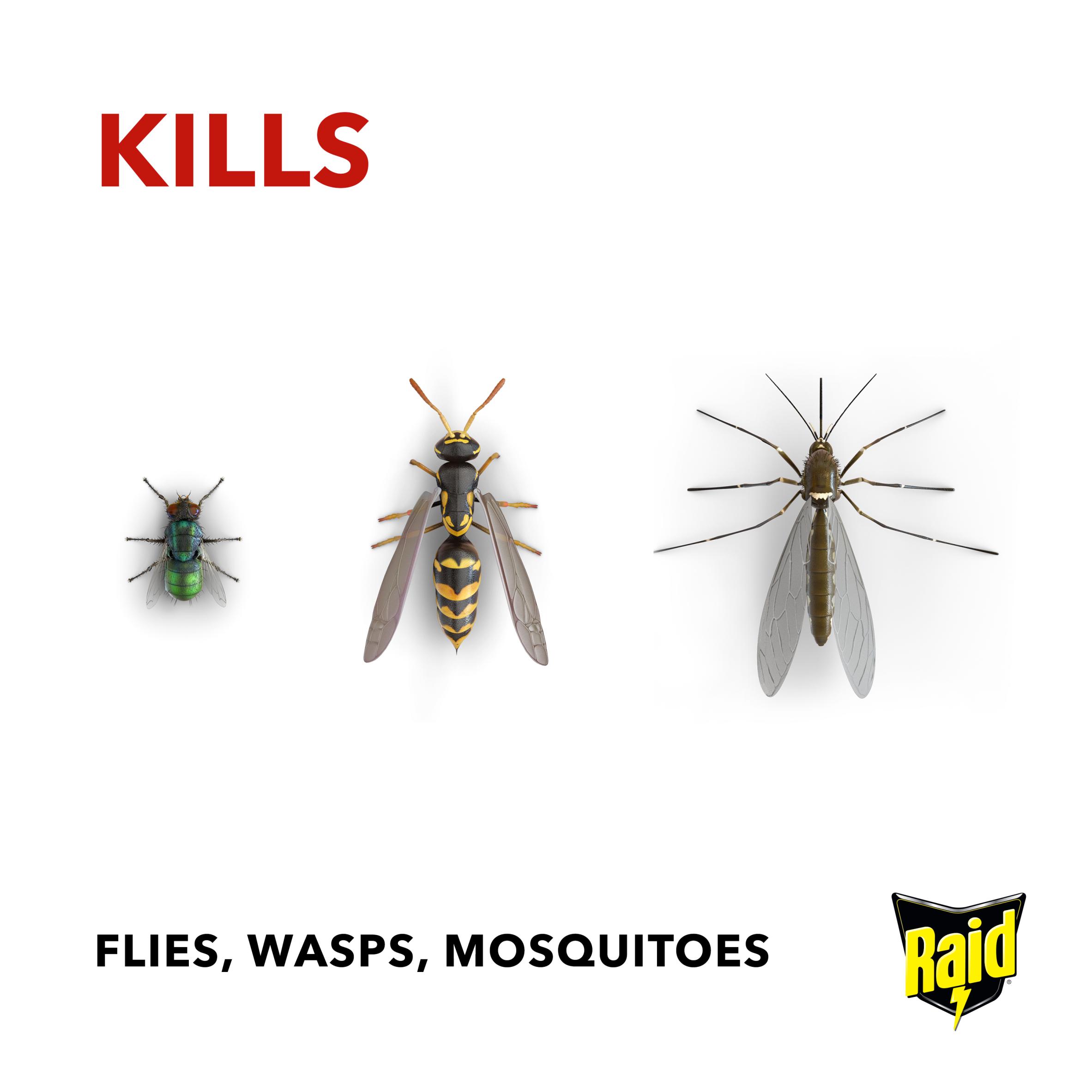 Raid Fly, Wasp & Mosquito Killer 300ml thumbnail 4