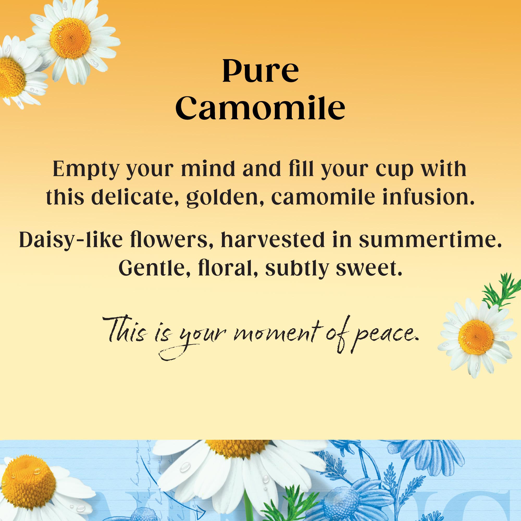 Twinings Camomile Tea, 20 Tea Bags thumbnail 2