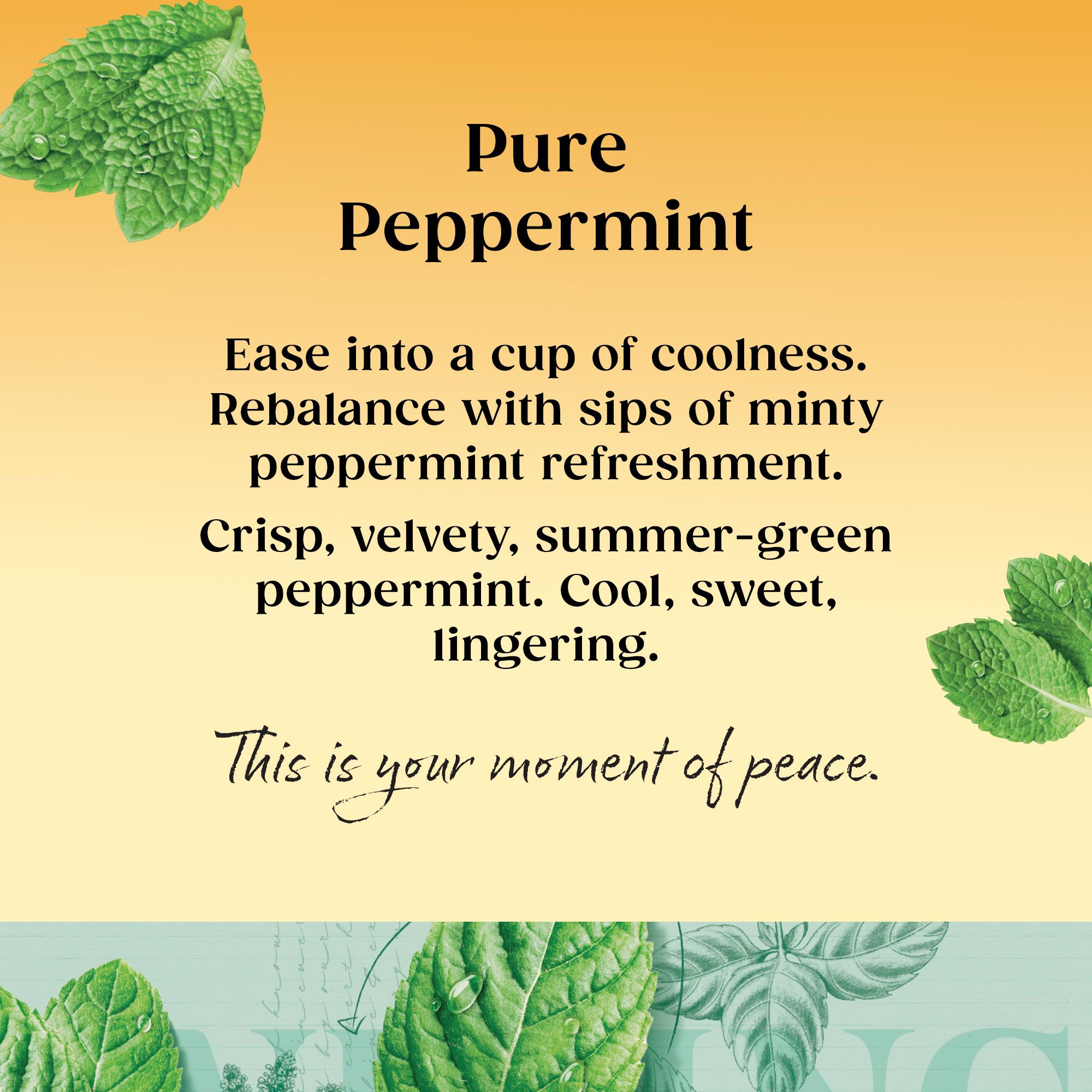 Twinings Peppermint Tea, 20 Tea Bags thumbnail 2