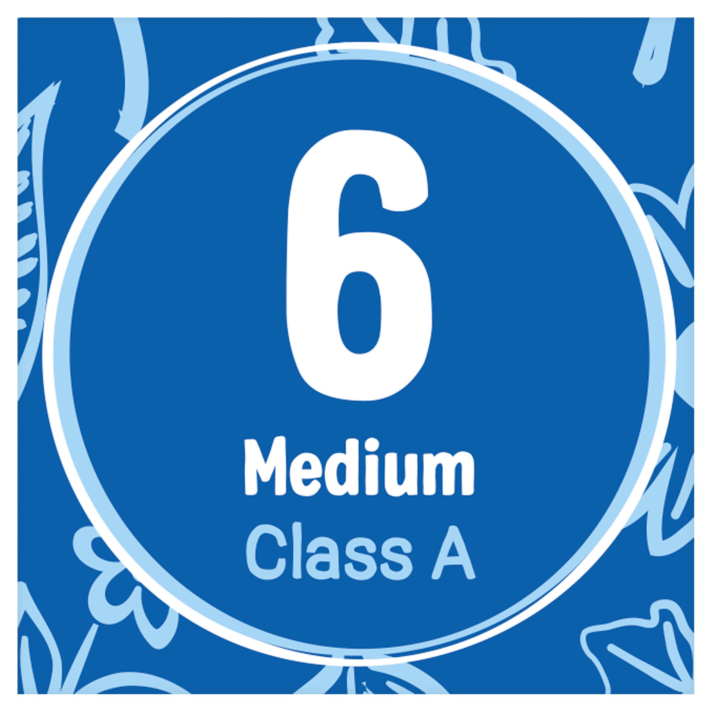 St. Ewe Original Medium Eggs x6 thumbnail 4