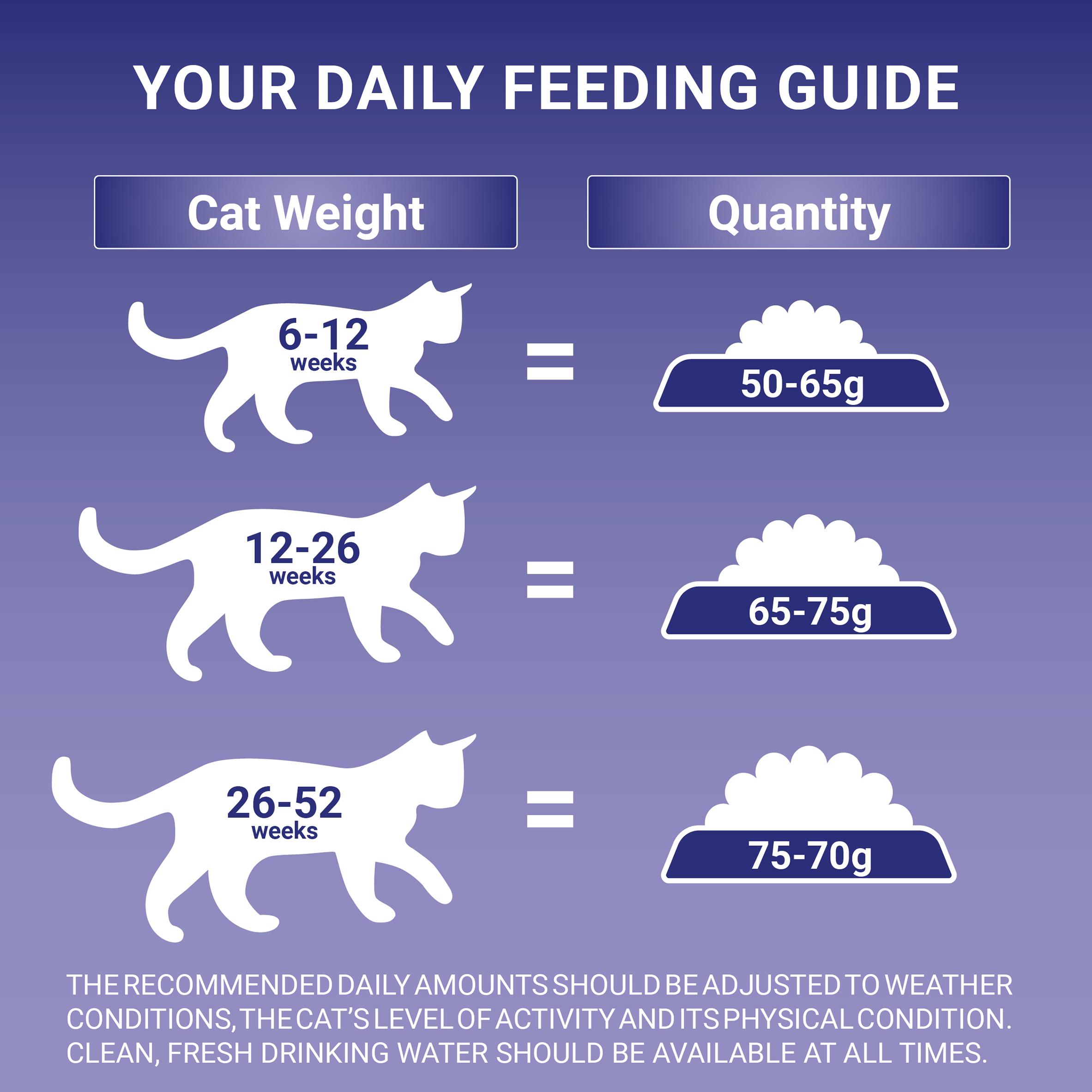 Purina One Kitten Dry Cat Food Chicken & Wholegrain 750g thumbnail 5