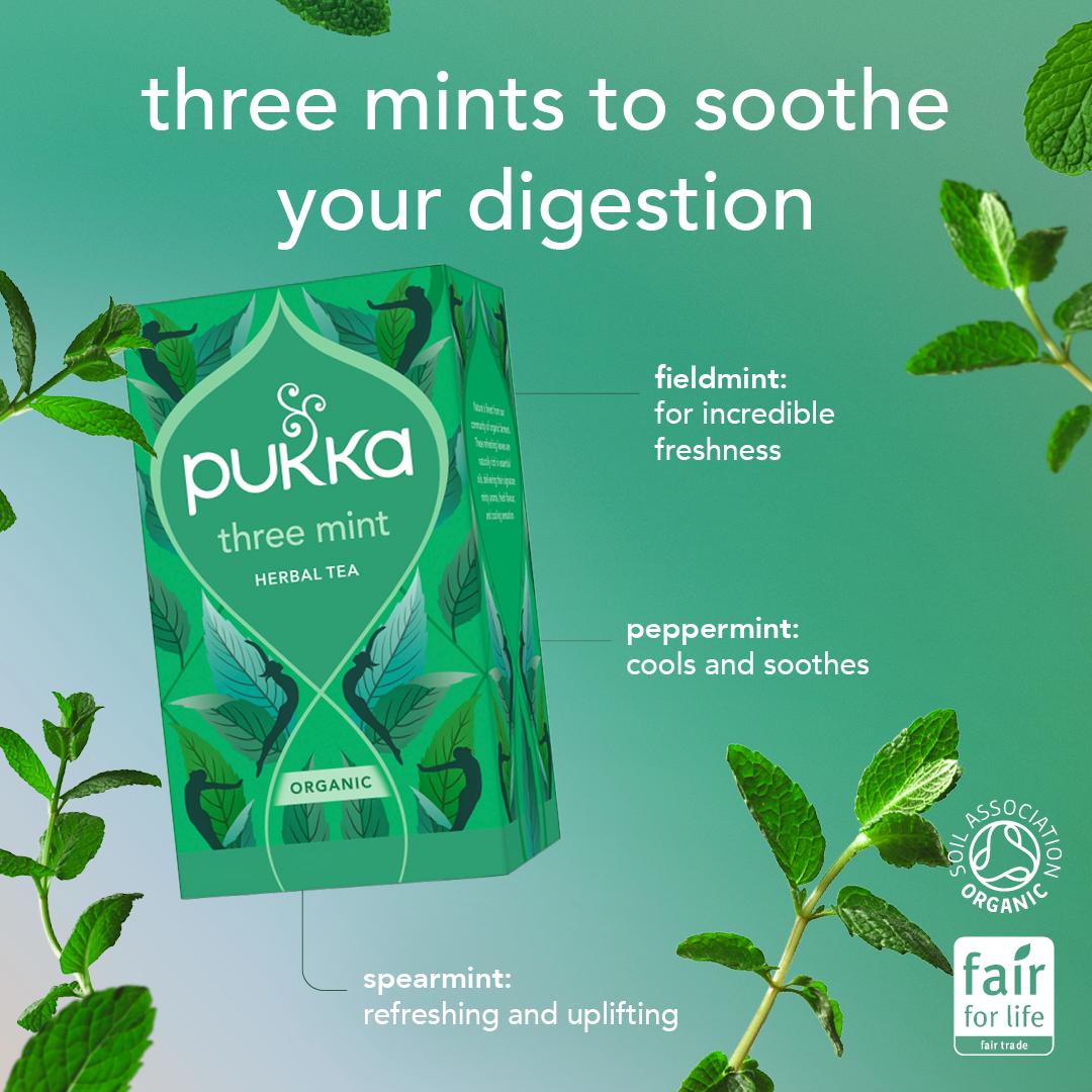 Pukka Organic Three Mint Tea With Peppermint Home Compostable Herbal Tea Bags x20 thumbnail 3