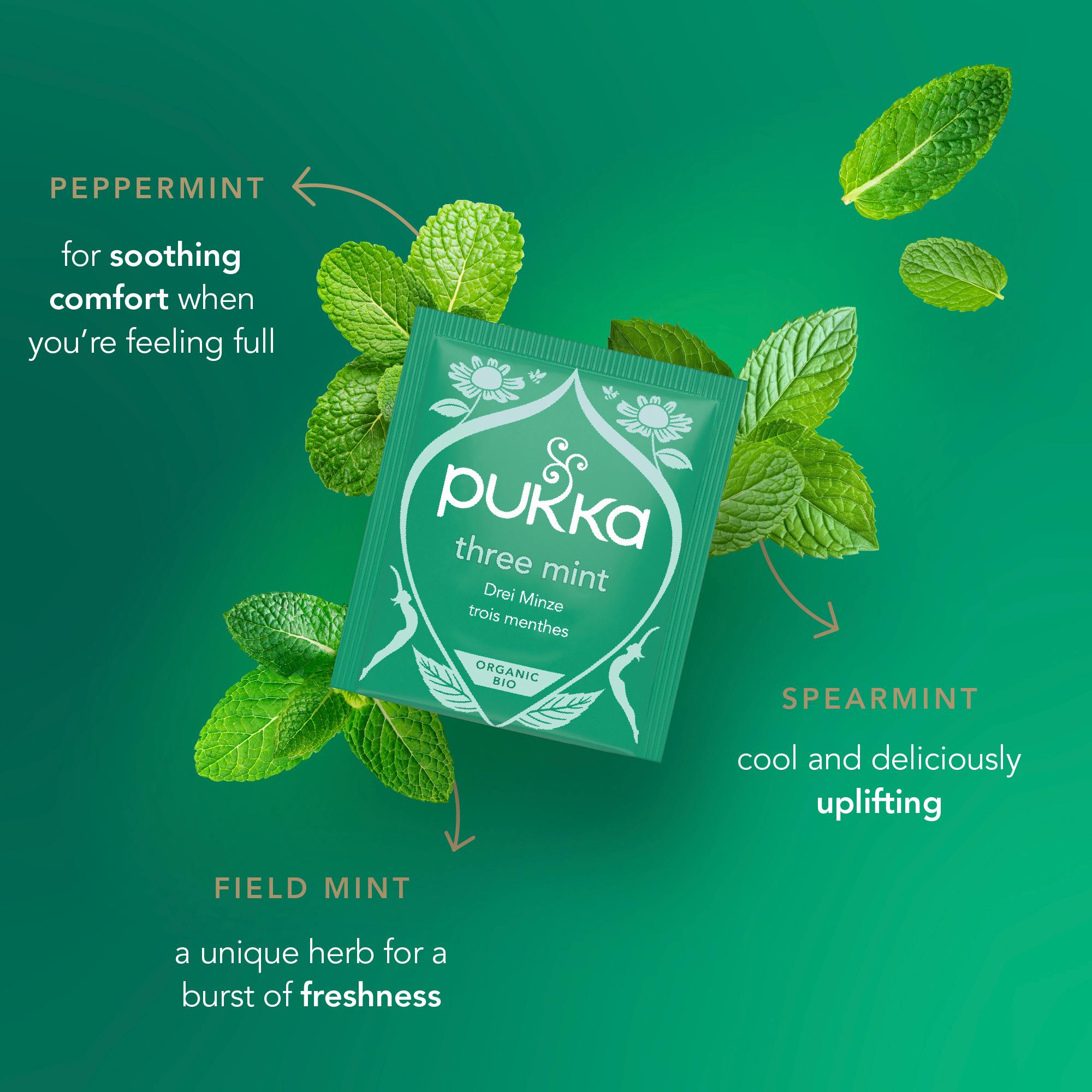 Pukka Organic Three Mint Tea With Peppermint Home Compostable Herbal Tea Bags x20 thumbnail 4
