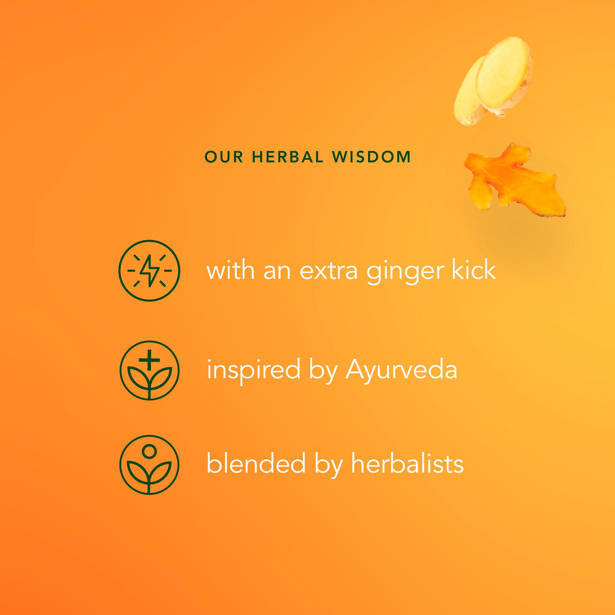 Pukka Organic Three Ginger Tea Home Compostable Herbal Tea Bags x20 thumbnail 5