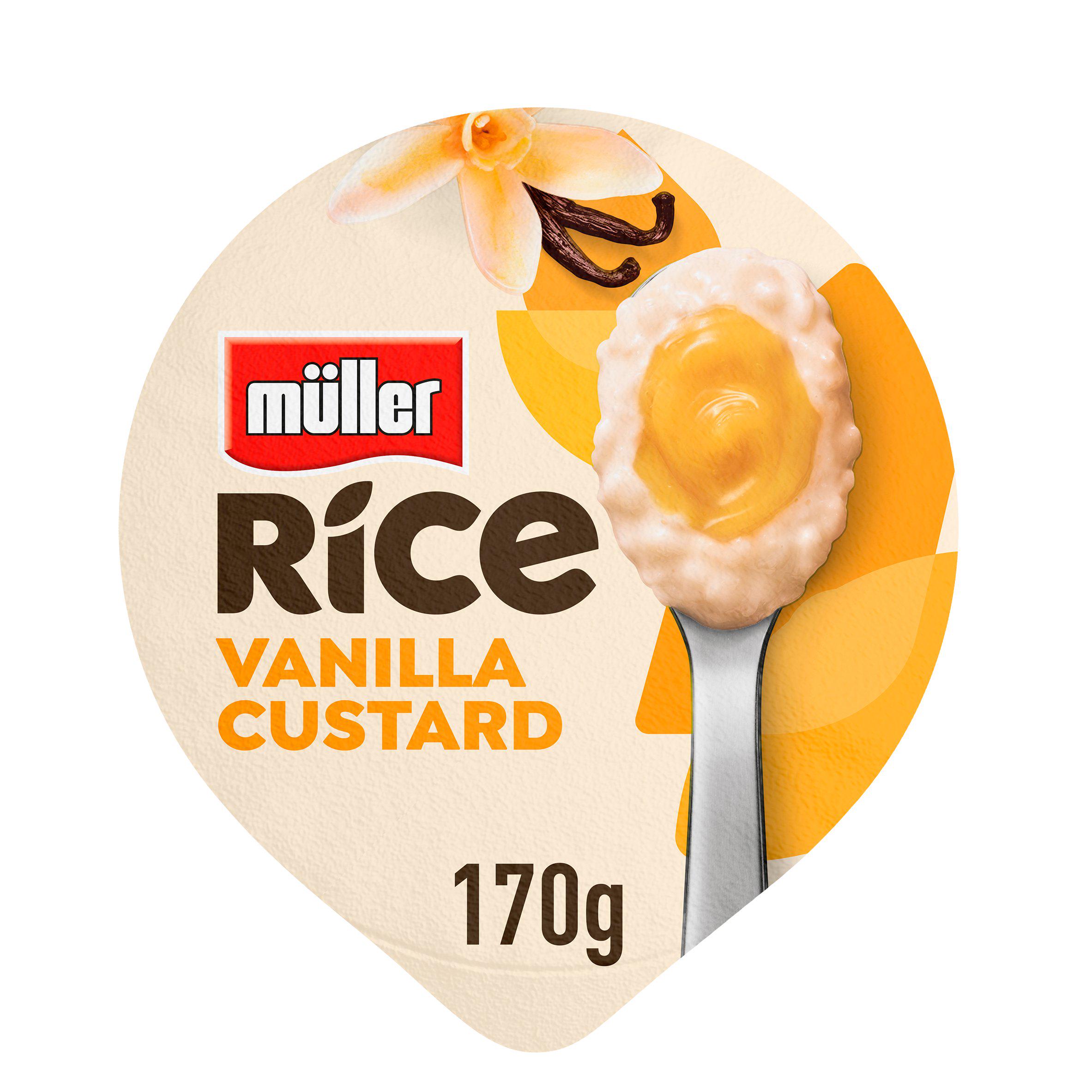 Vanilla Custard Low Fat Dessert