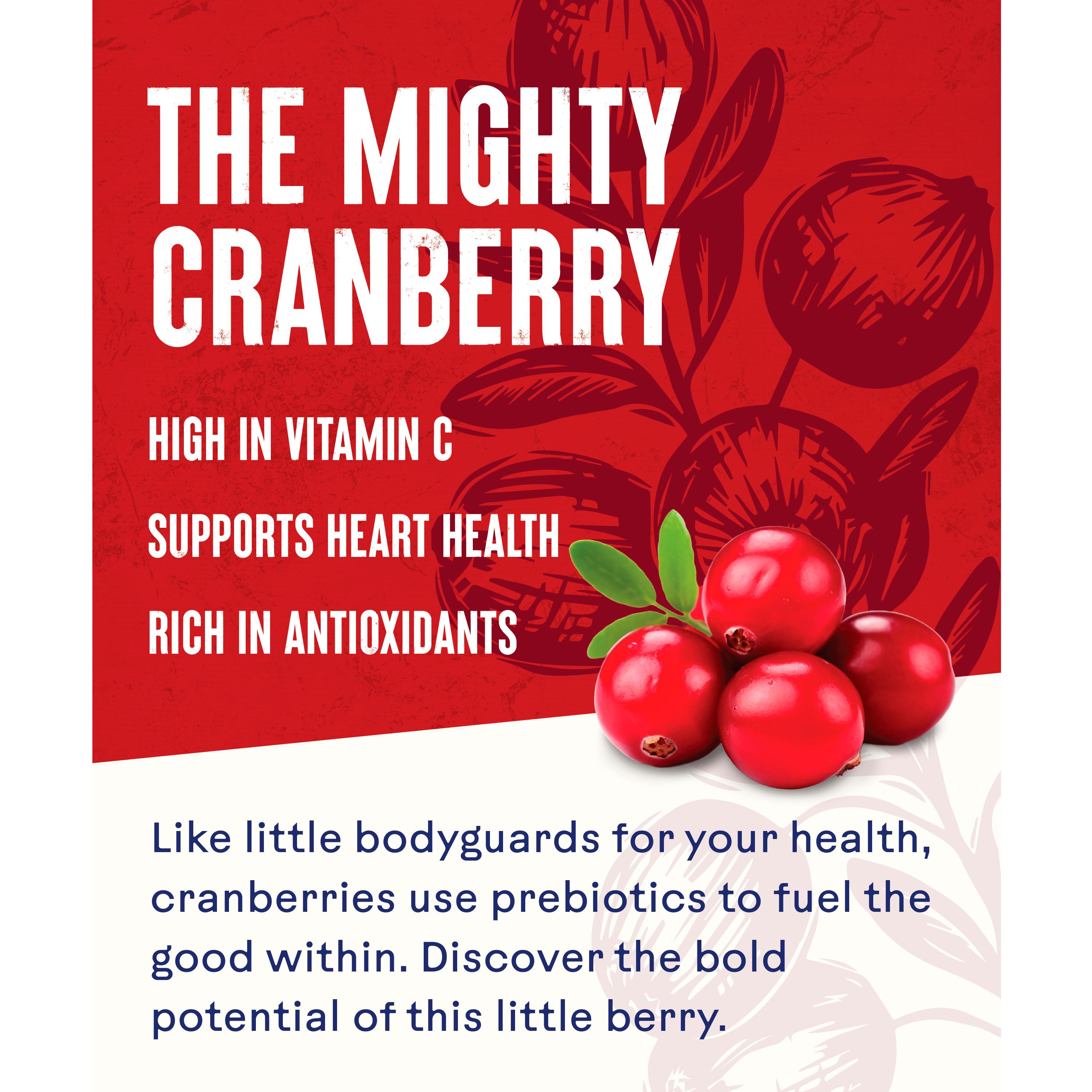 Ocean Spray Cranberry Classic 1L thumbnail 2