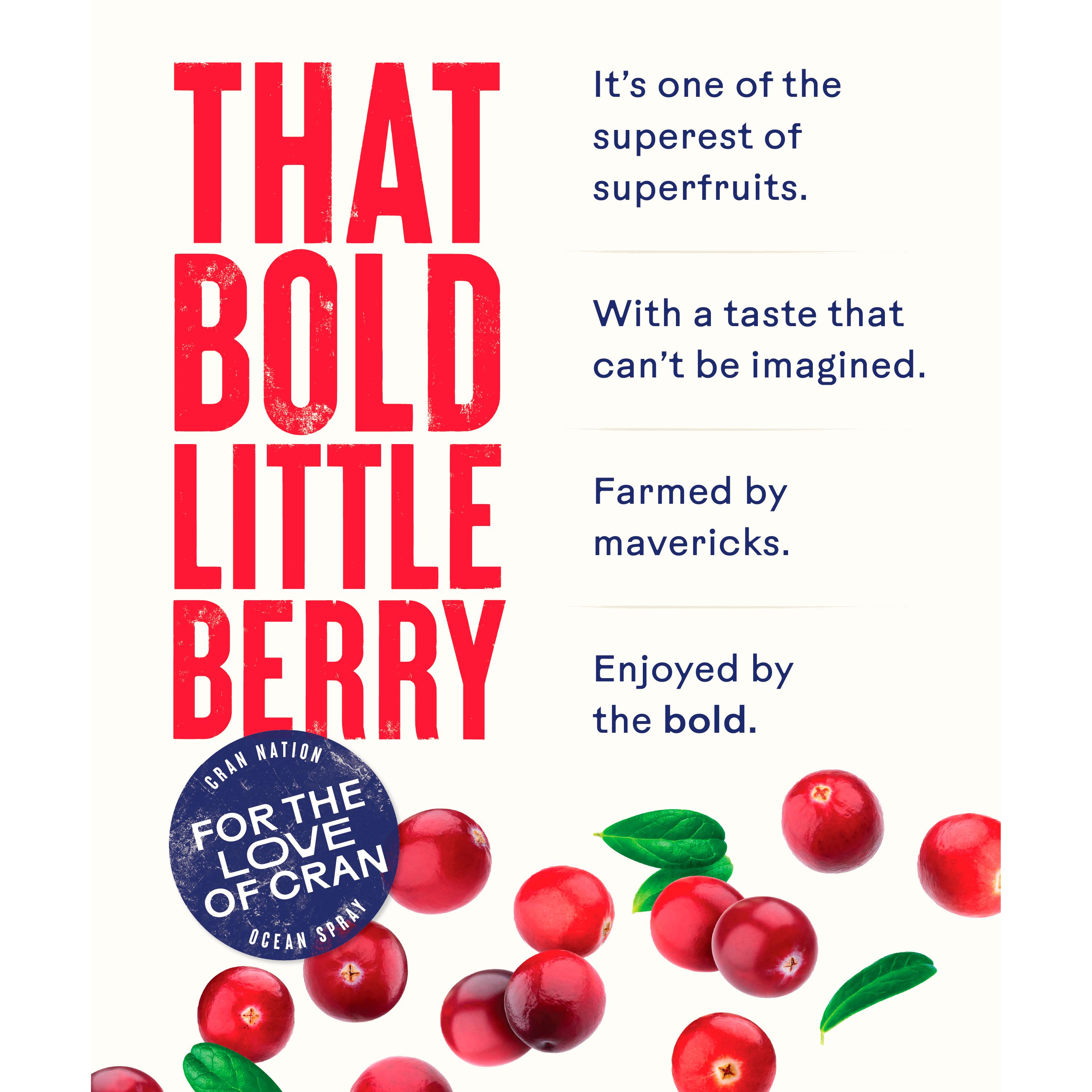 Ocean Spray Cranberry Classic 1L thumbnail 5