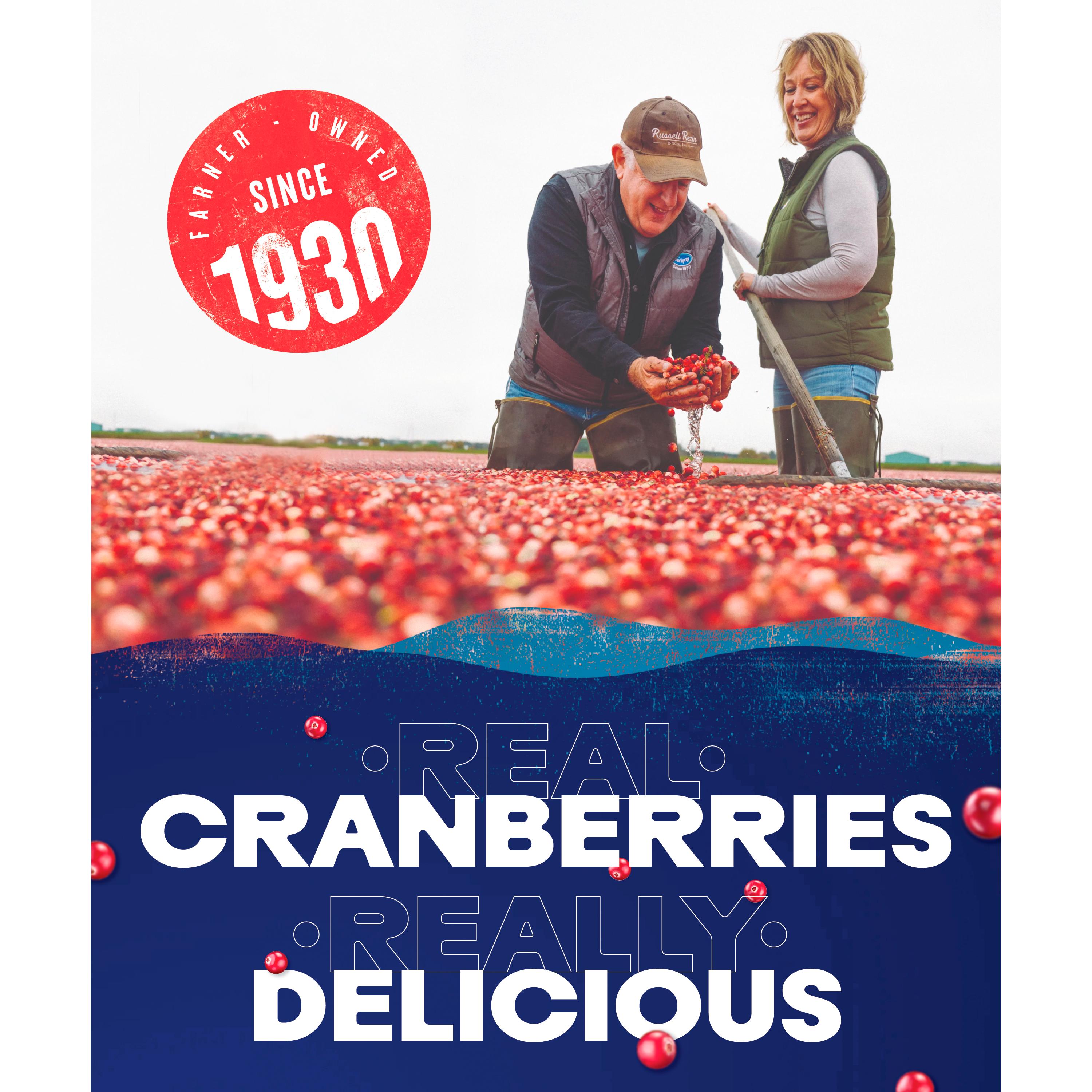 Ocean Spray Cranberry Classic 1L thumbnail 6