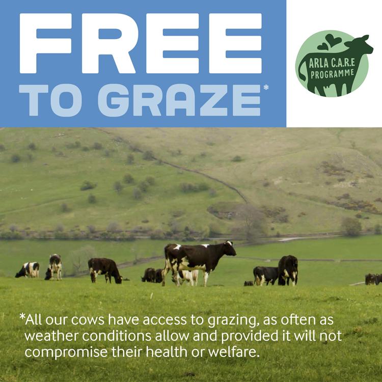 Cravendale Filtered Fresh Semi Skimmed Milk Fresher for Longer 3L thumbnail 3