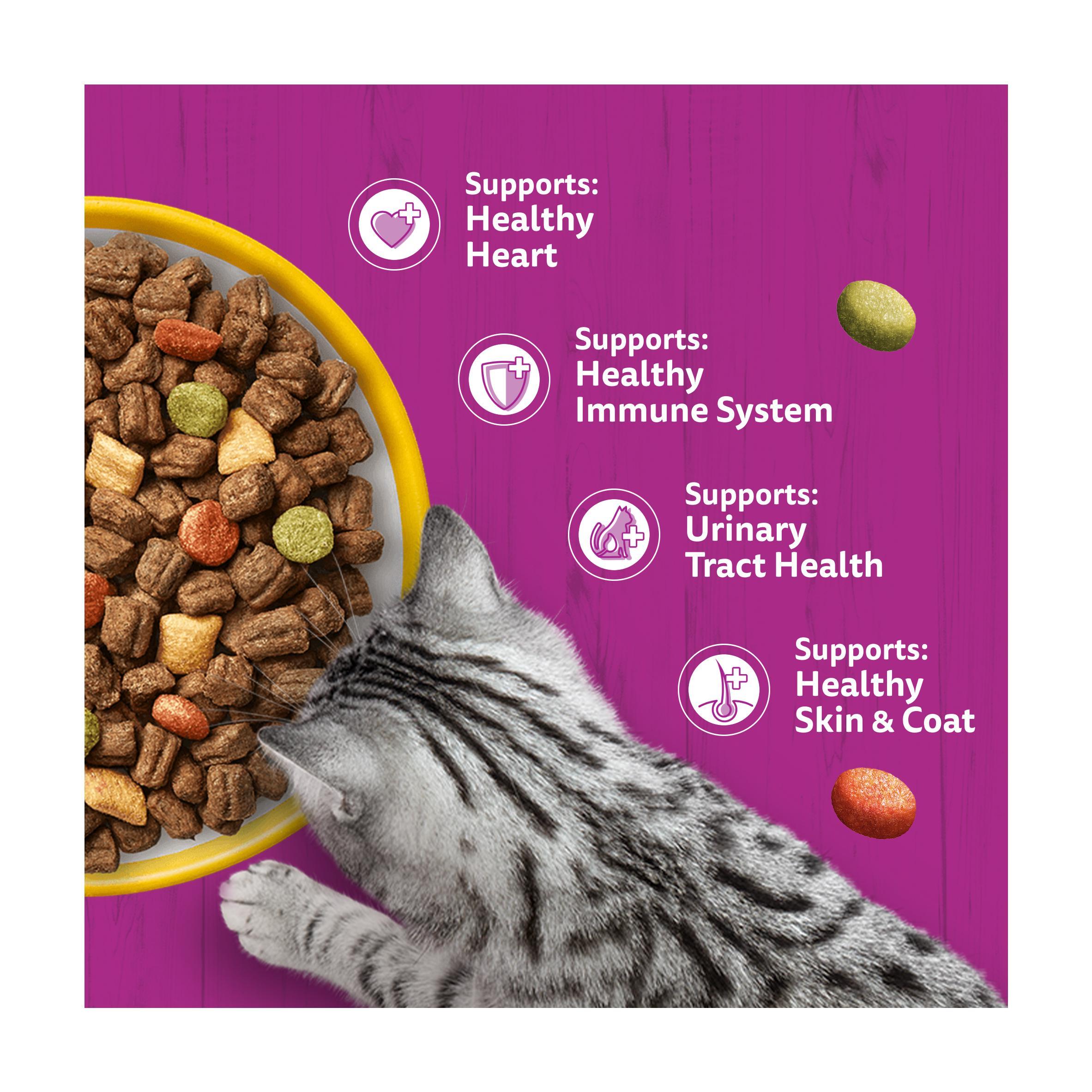 Whiskas Biscuits Chicken Senior Complete Dry Cat Food 1.9kg thumbnail 3