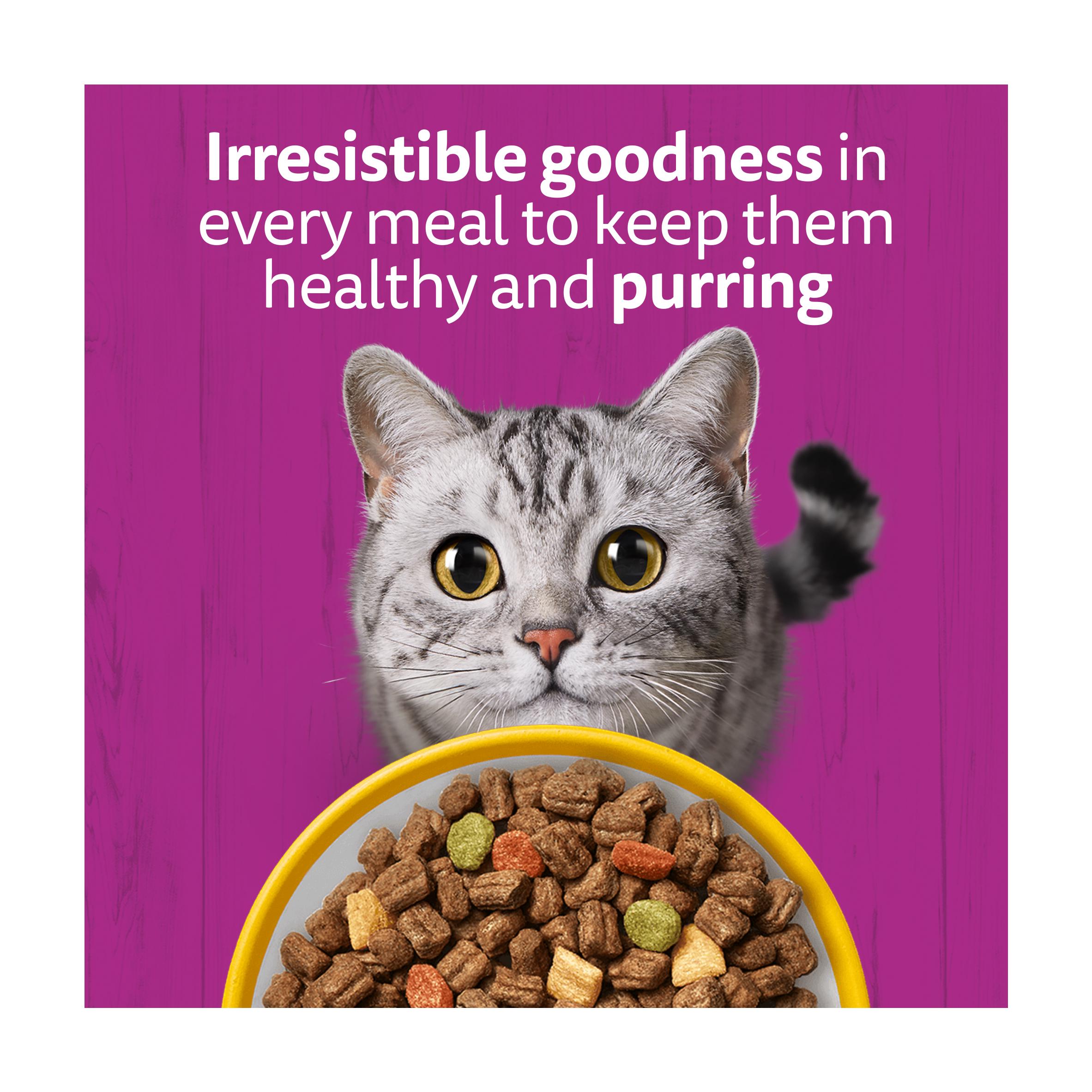 Whiskas Biscuits Chicken Senior Complete Dry Cat Food 1.9kg thumbnail 5