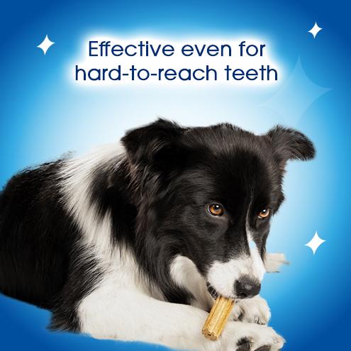 Dentalife Small Dental Chicken Dog Chews Sticks x21 thumbnail 6