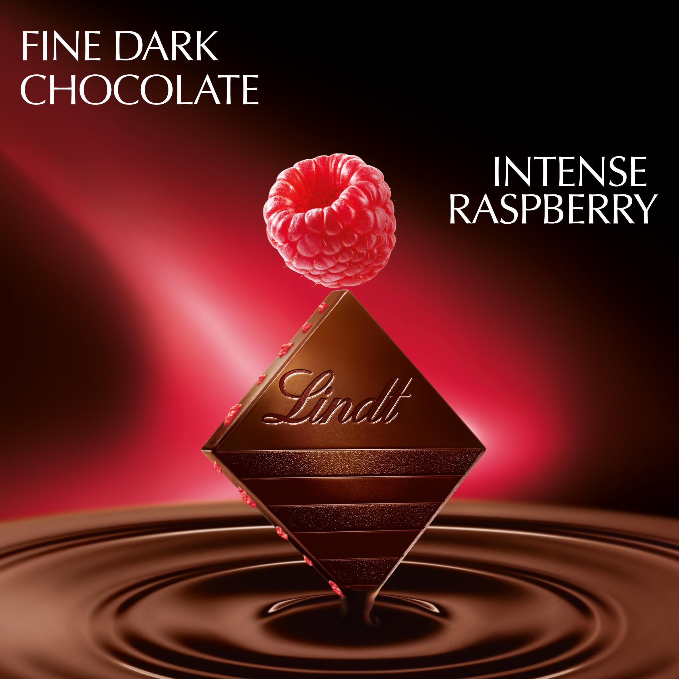 Lindt Excellence Dark Raspberry Chocolate Bar 100g thumbnail 2