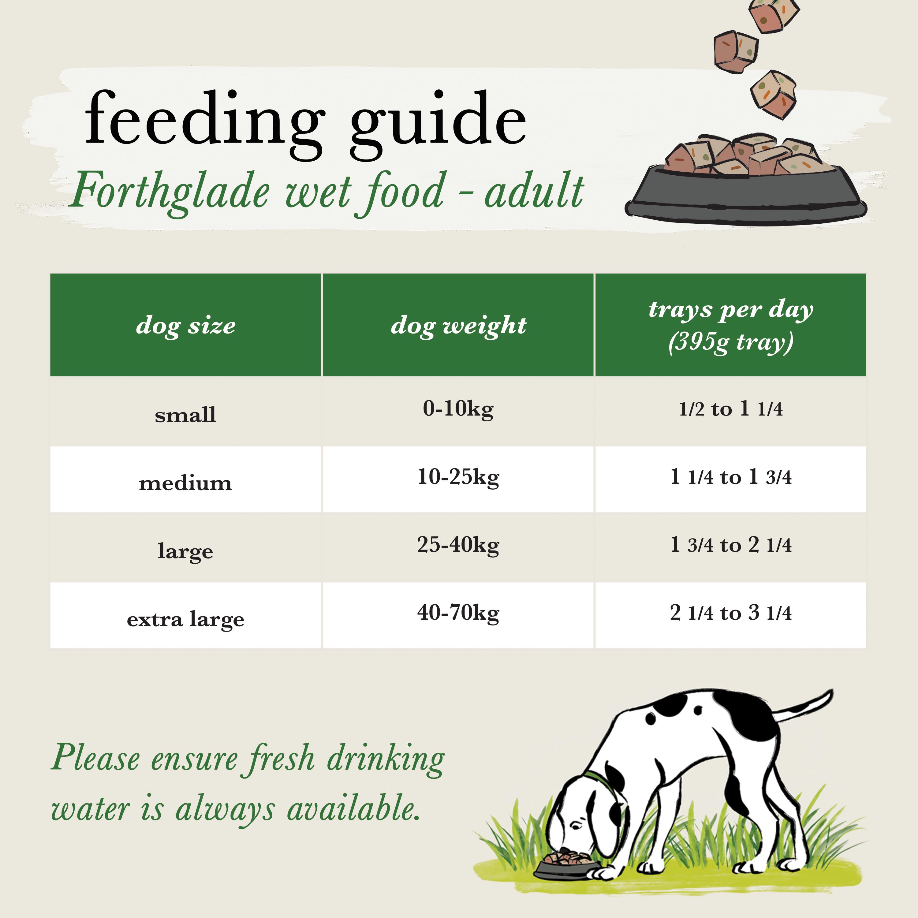 Forthglade Adult Dog Food 1 Year+ Turkey with Sweet Potato & Vegetables Complete Meal 395g thumbnail 5