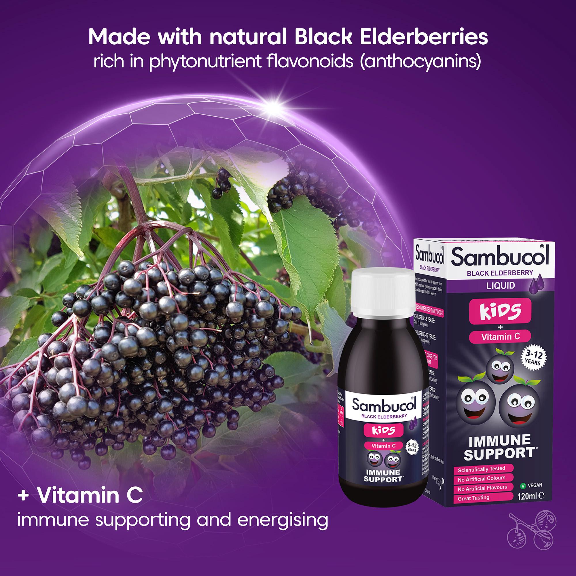 Sambucol Black Elderberry Liquid for Kids + Vitamin C 1-12 Years 120ml thumbnail 4