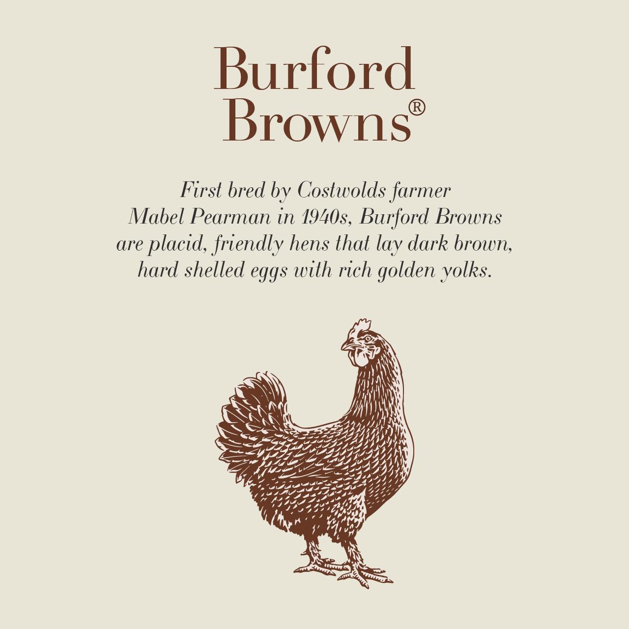 Clarence Court Mabel Pearmans's Burford Browns Large Free Range Eggs x6 thumbnail 2