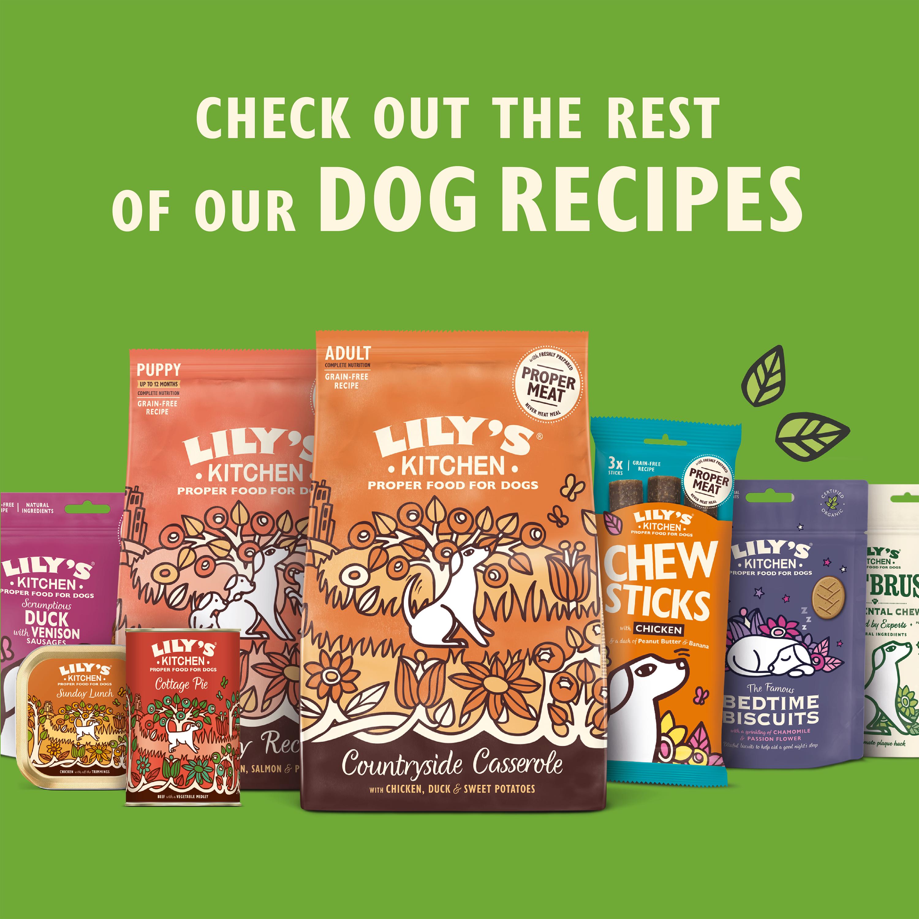Lily's Kitchen Chomp-Away Chicken Bites Dog Treats 70g thumbnail 5