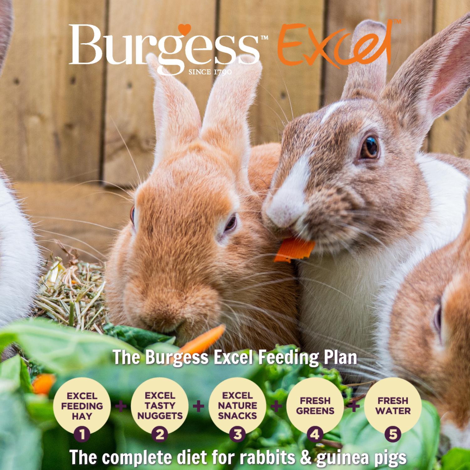Burgess Excel Feeding Hay with Meadow Flowers 500g thumbnail 2